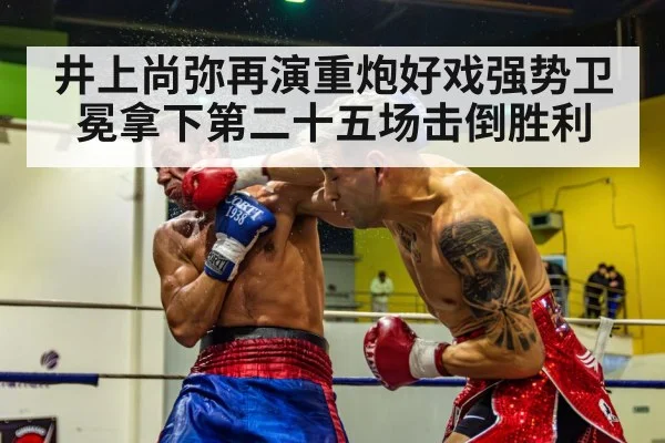 boxing knockout punch