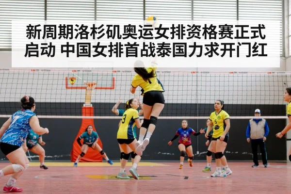 chinese women's volleyball team