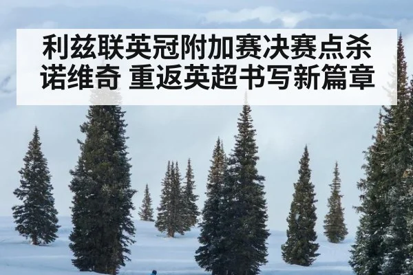 利兹联英冠附加赛决赛点杀诺维奇 重返英超书写新篇章
