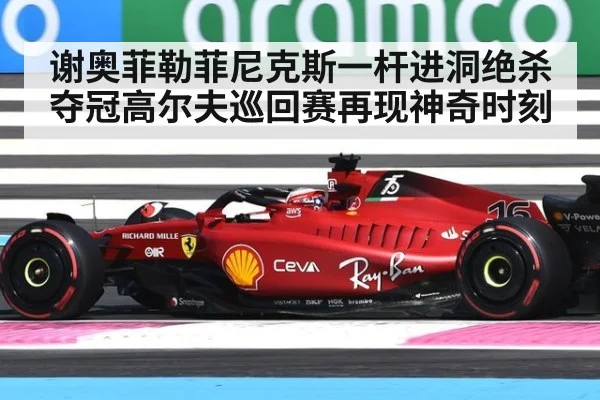 谢奥菲勒菲尼克斯一杆进洞绝杀夺冠高尔夫巡回赛再现神奇时刻